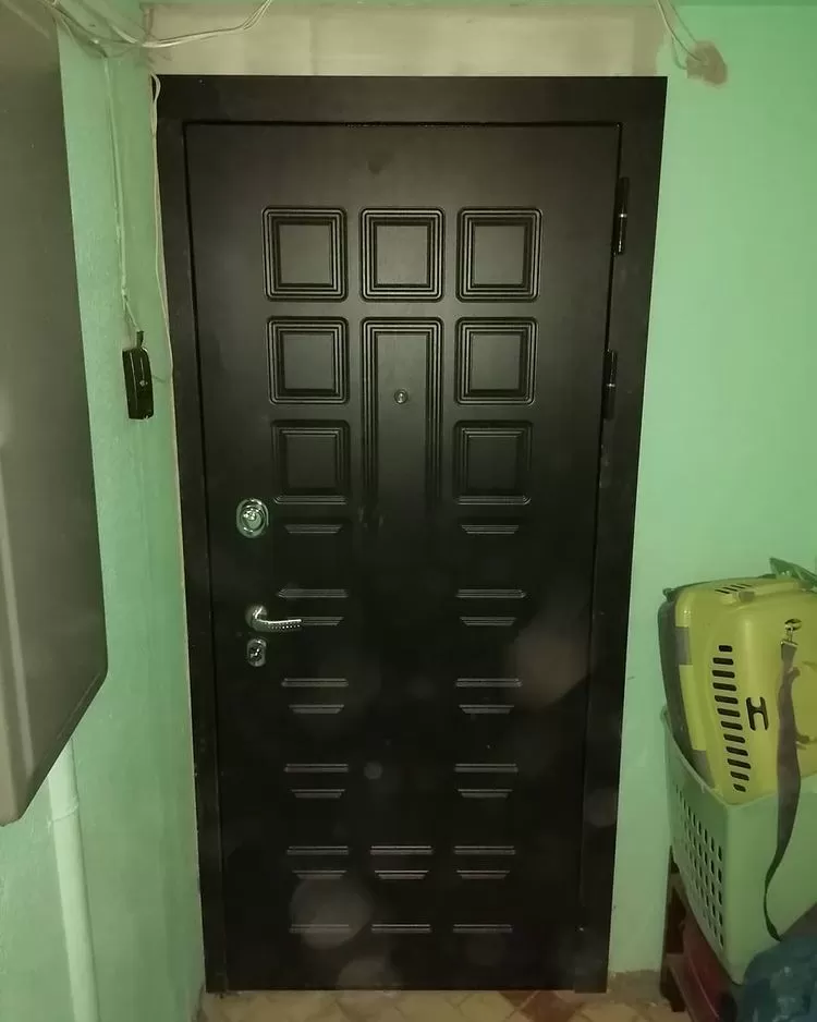 Входная дверь из металла тёмного цвета